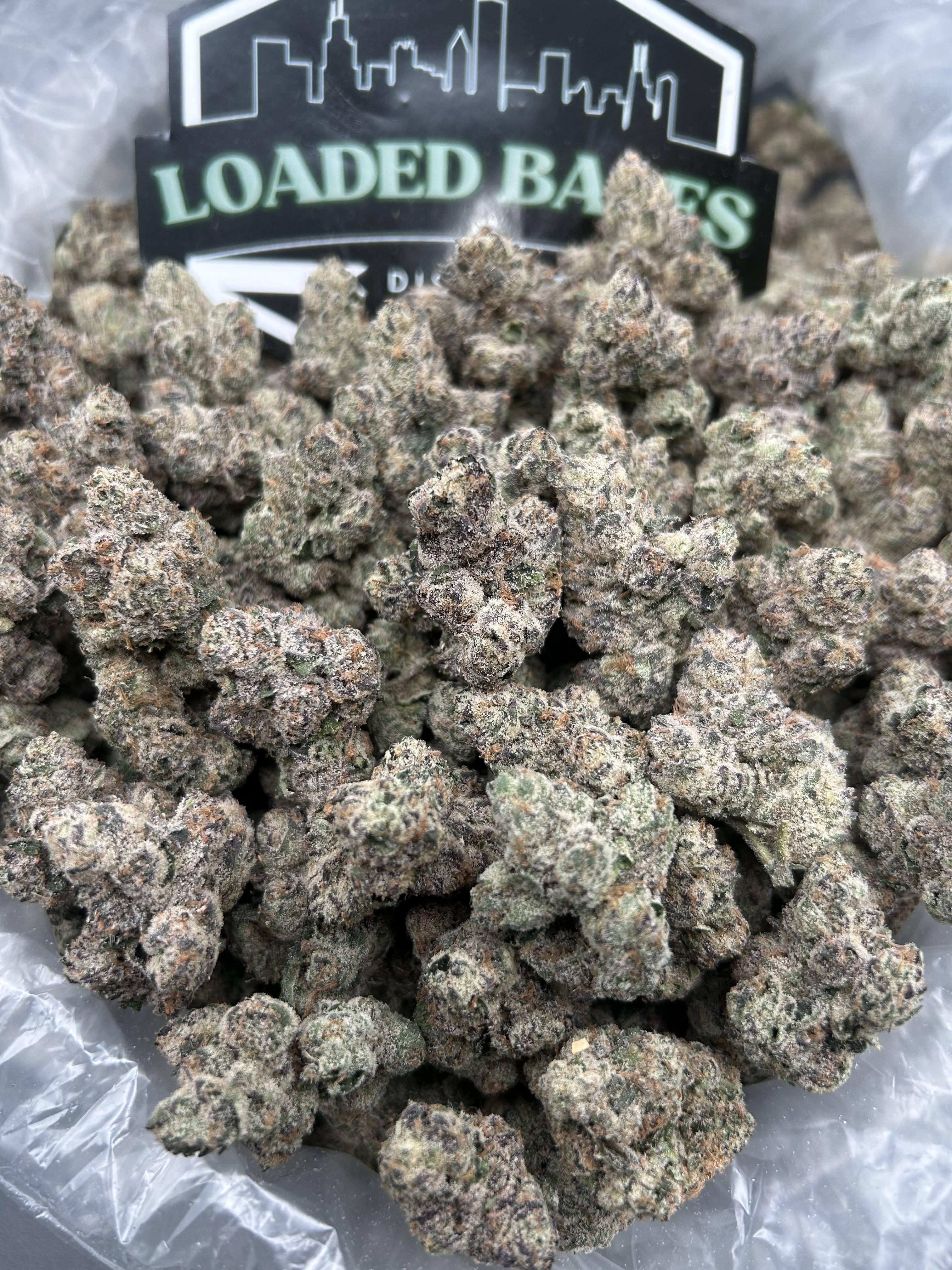 AMARENA CHERRY GELATO