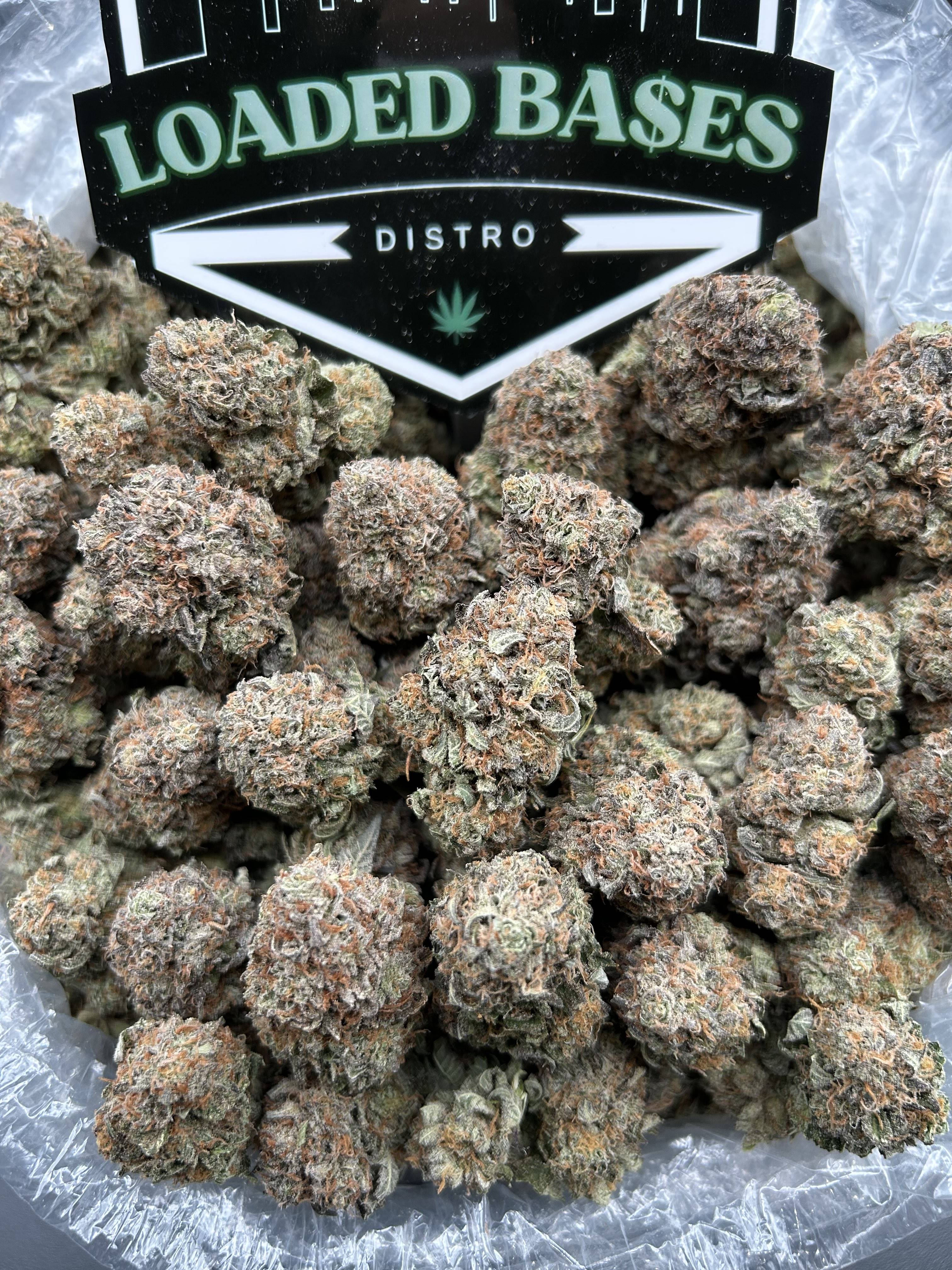 PURPLE PLATINUM(OUT OF STOCK)