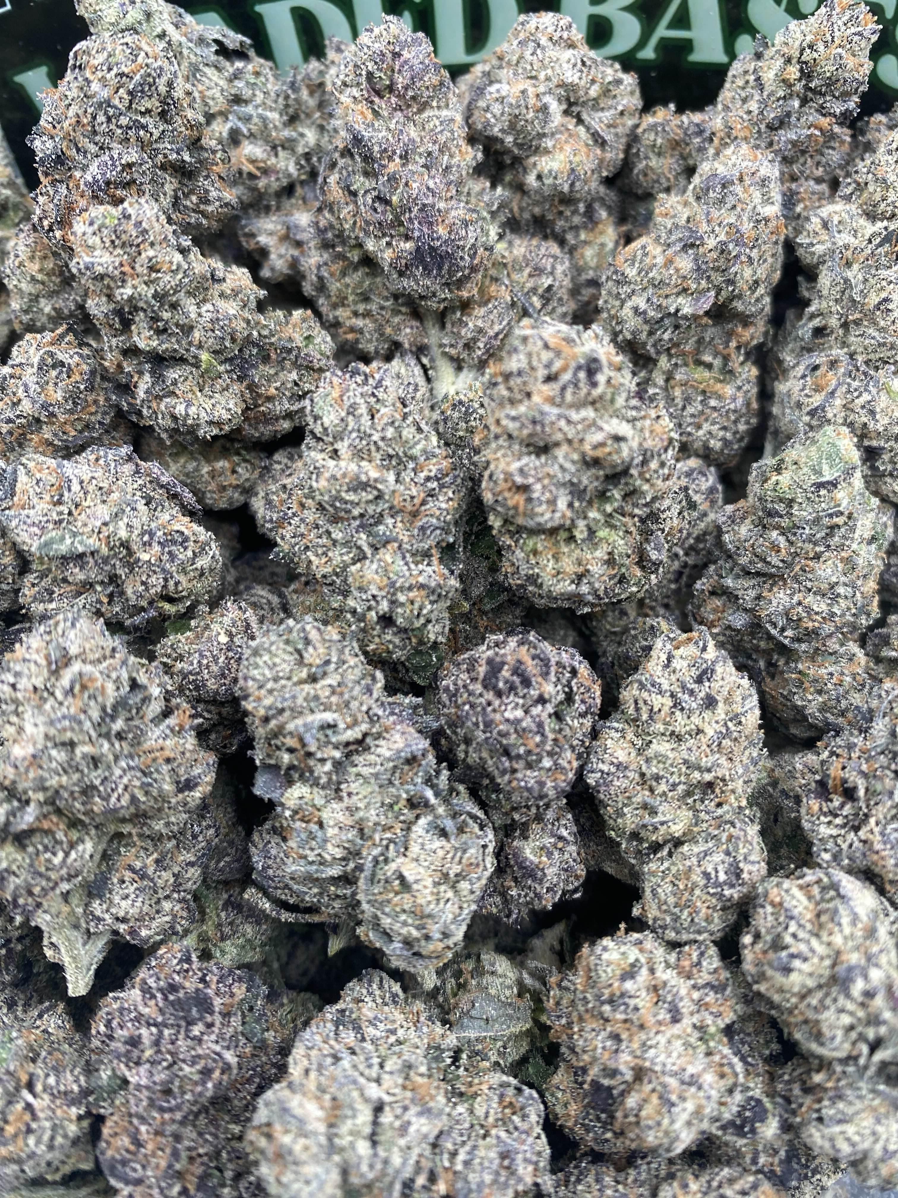 BLACK CHERRY GELATO