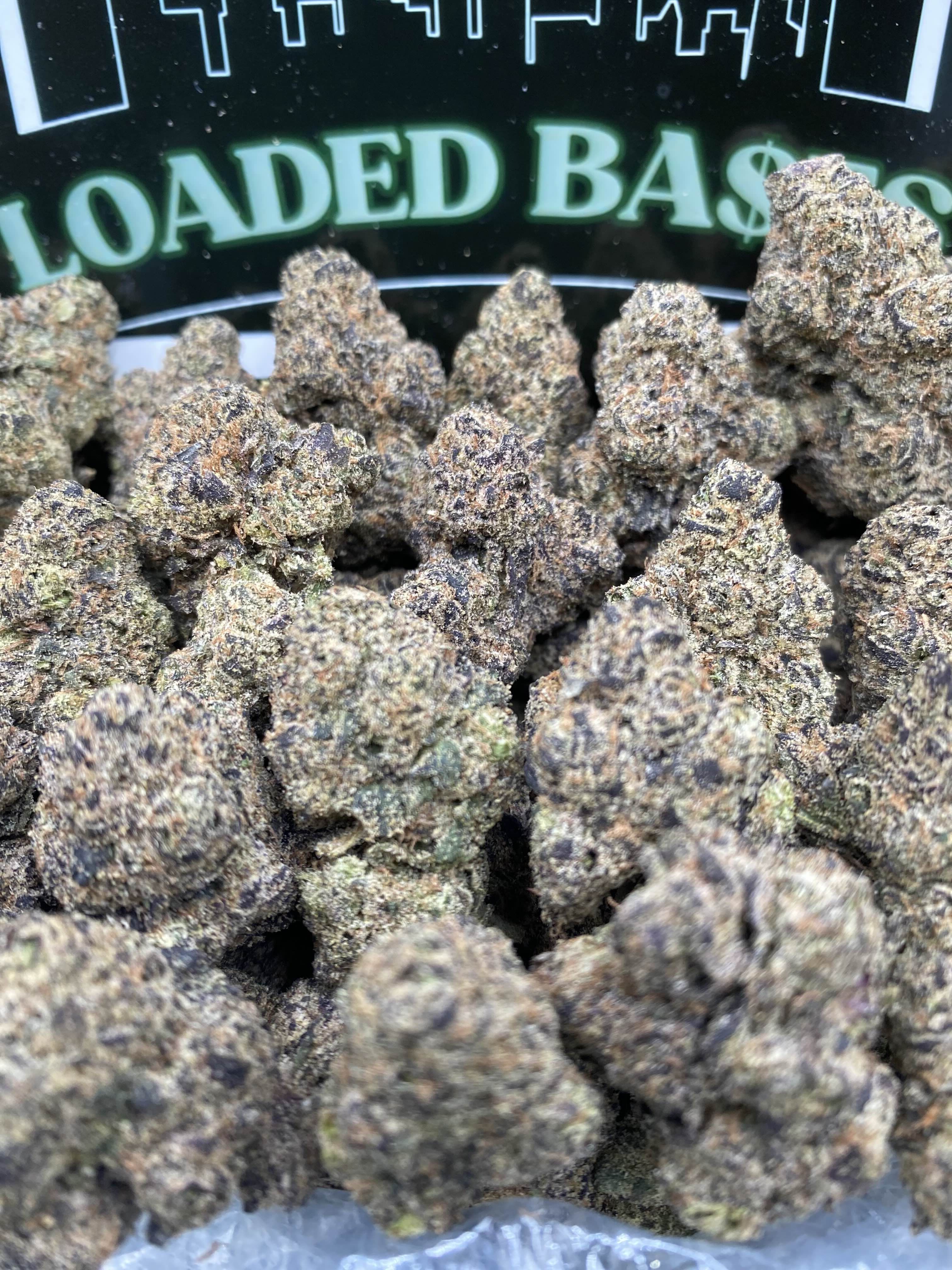 LEMON CHERRY GELATO (DEAL OF THE DAY)