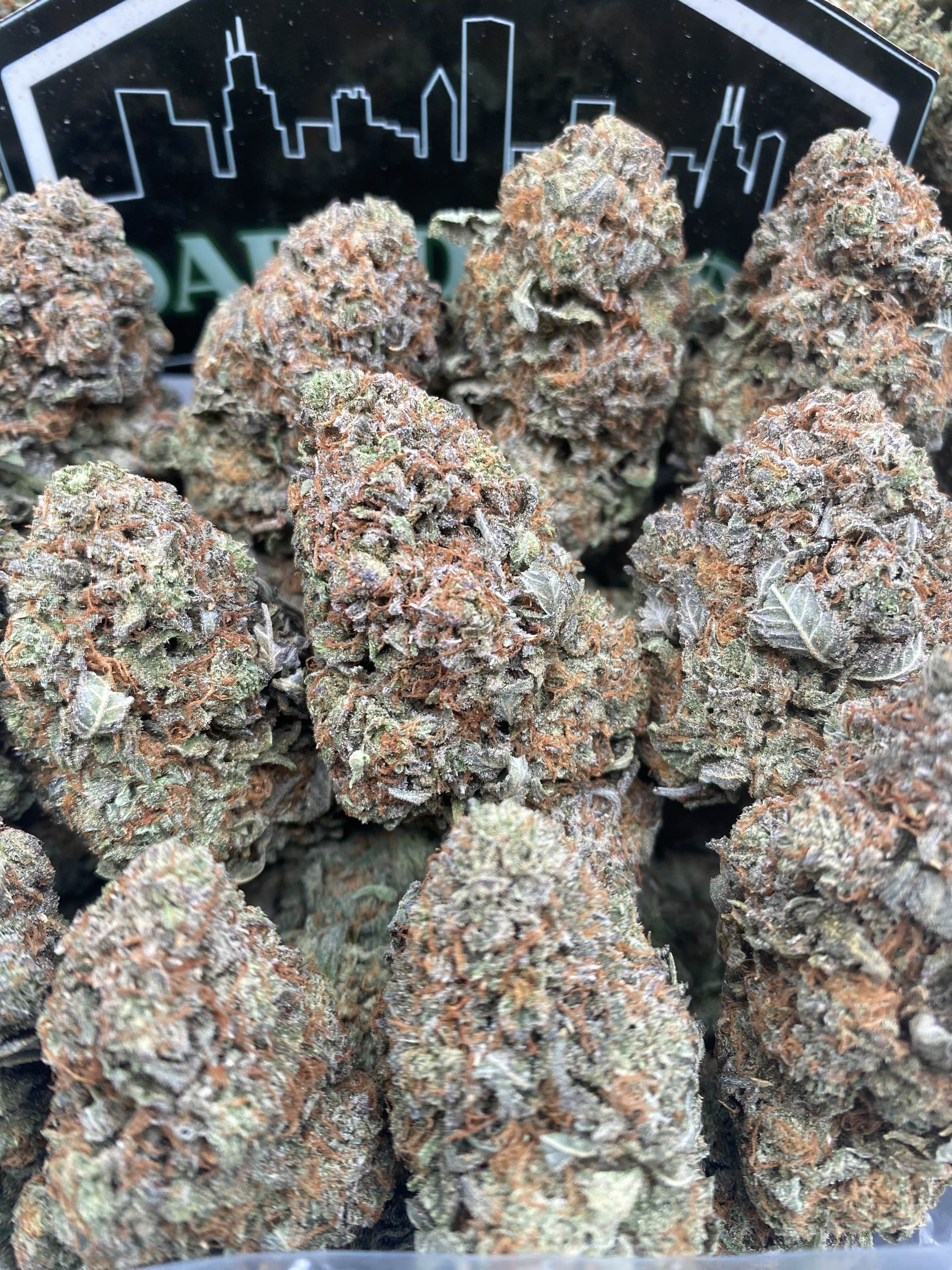 PLATINUM BUBBA LT