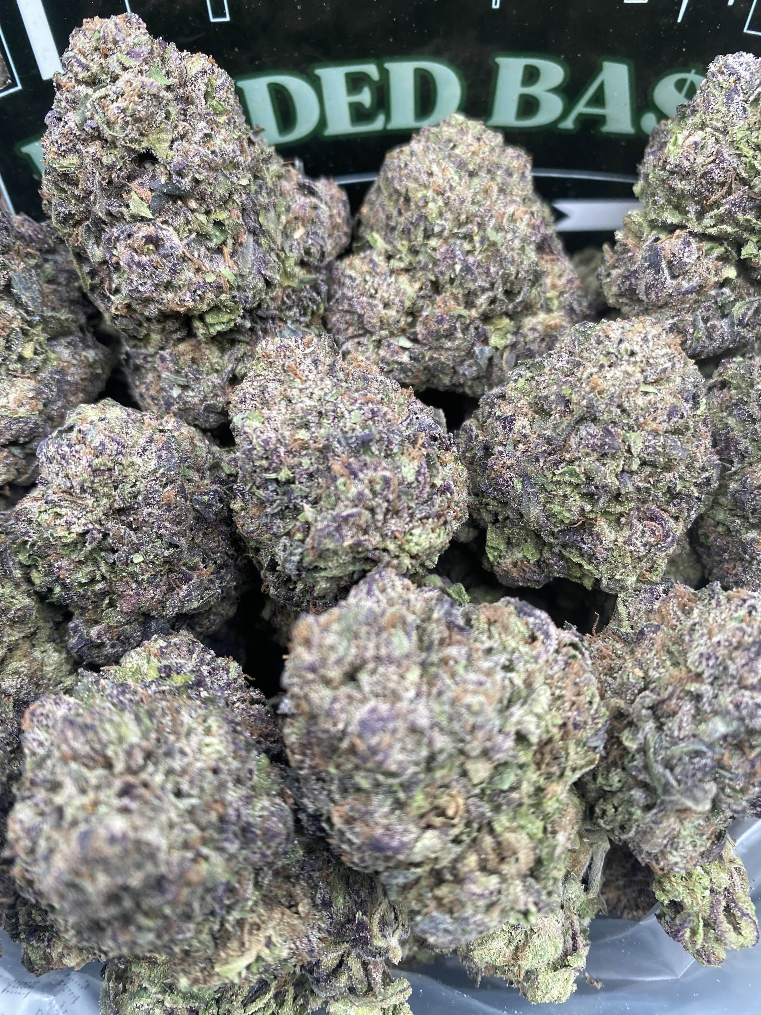 PURPLE GUMBO