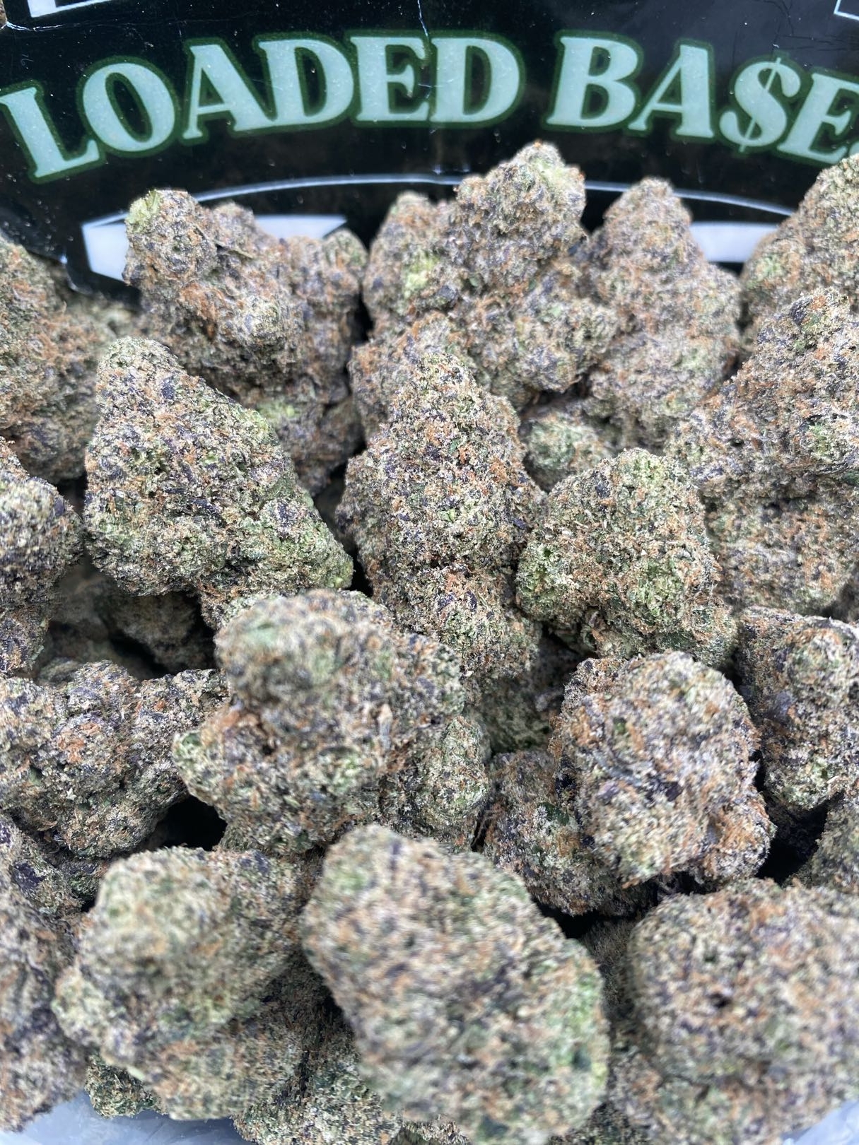 LEMON CHERRY GELATTI